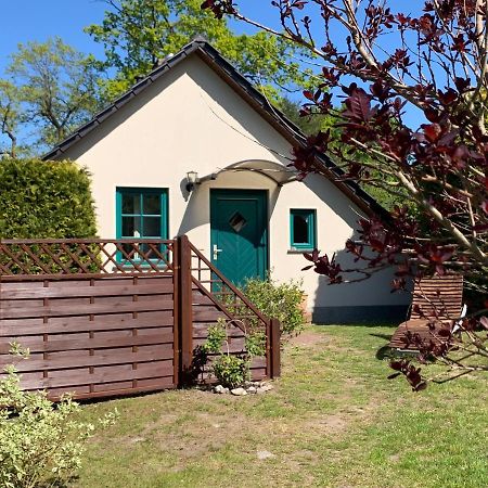 „Rentmeisterhaus Basedow“ Basedow  Esterno foto