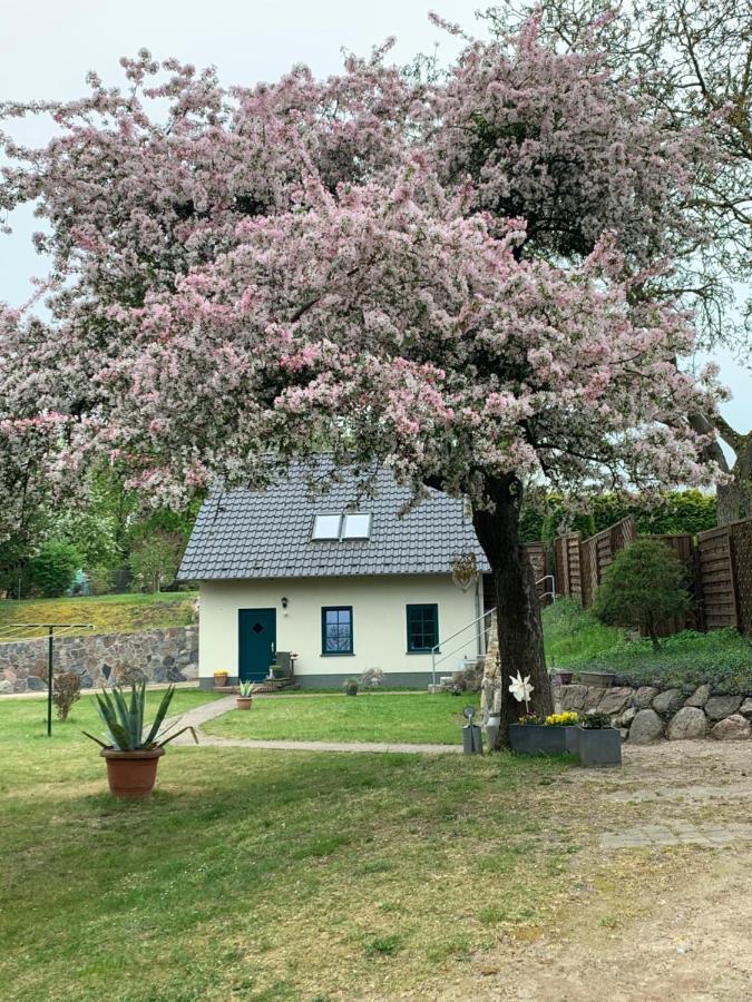 „Rentmeisterhaus Basedow“ Basedow  Esterno foto
