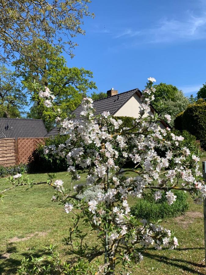 „Rentmeisterhaus Basedow“ Basedow  Esterno foto